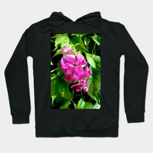 Pink Sweet Pea Hoodie